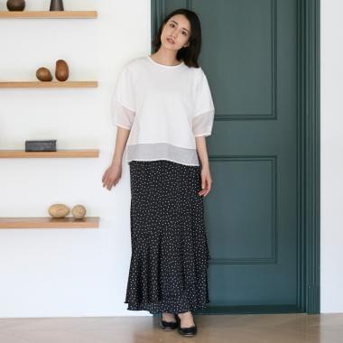 288860081