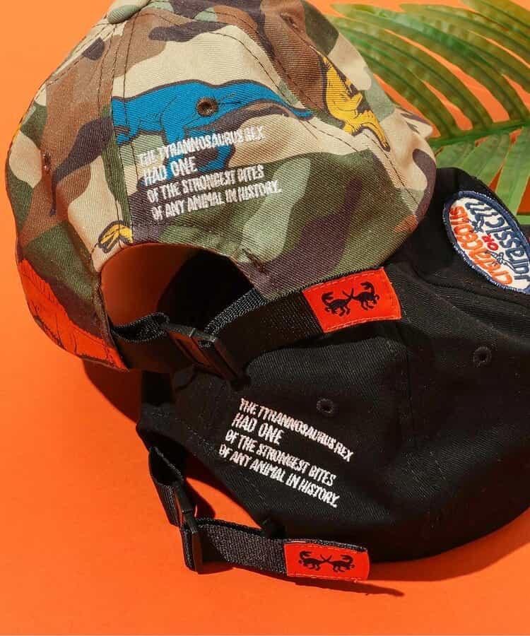 170099576