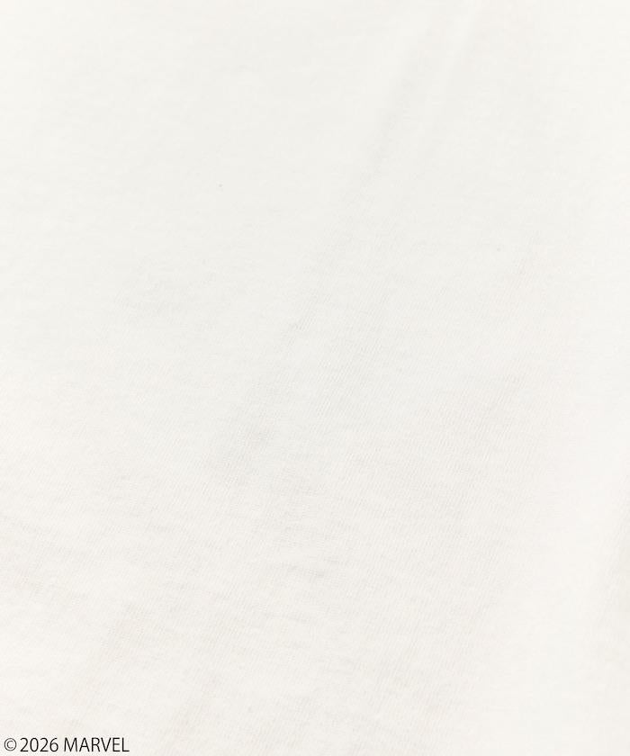 288719956