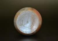 103873096
