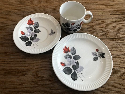 100982556