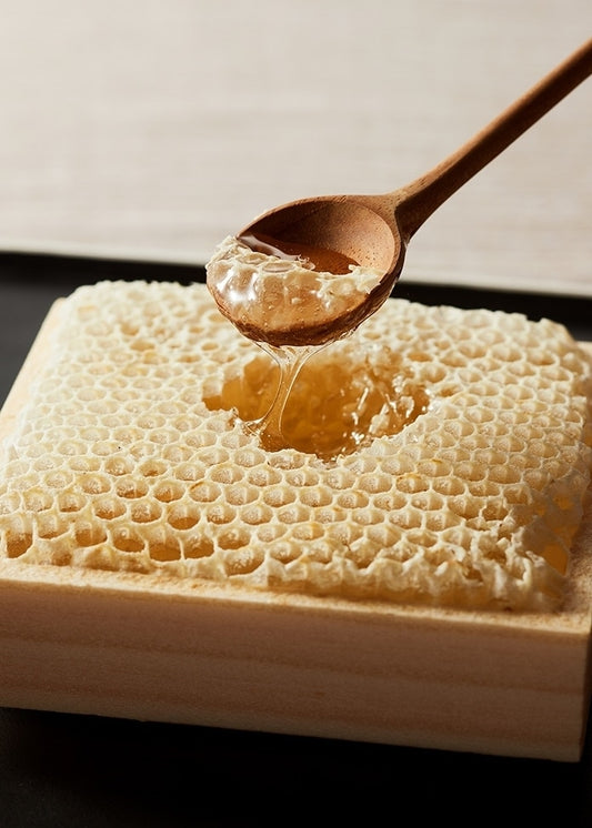 【令和5年產 新蜜】國產 蜂巢蜜 2個套裝