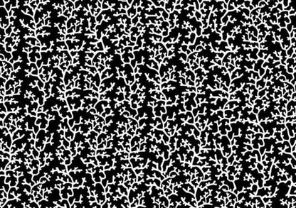 153221846