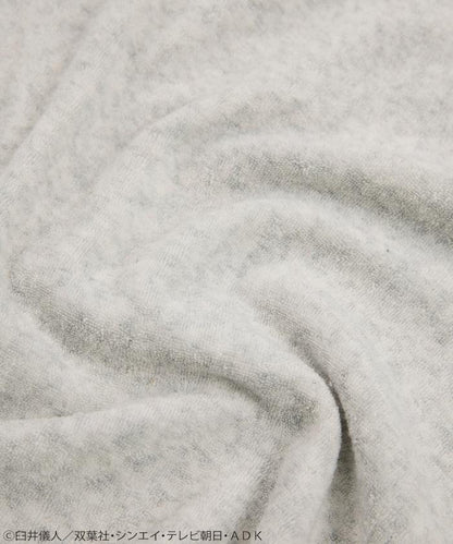 293743856