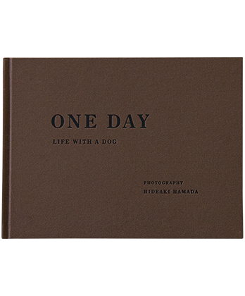 119527961