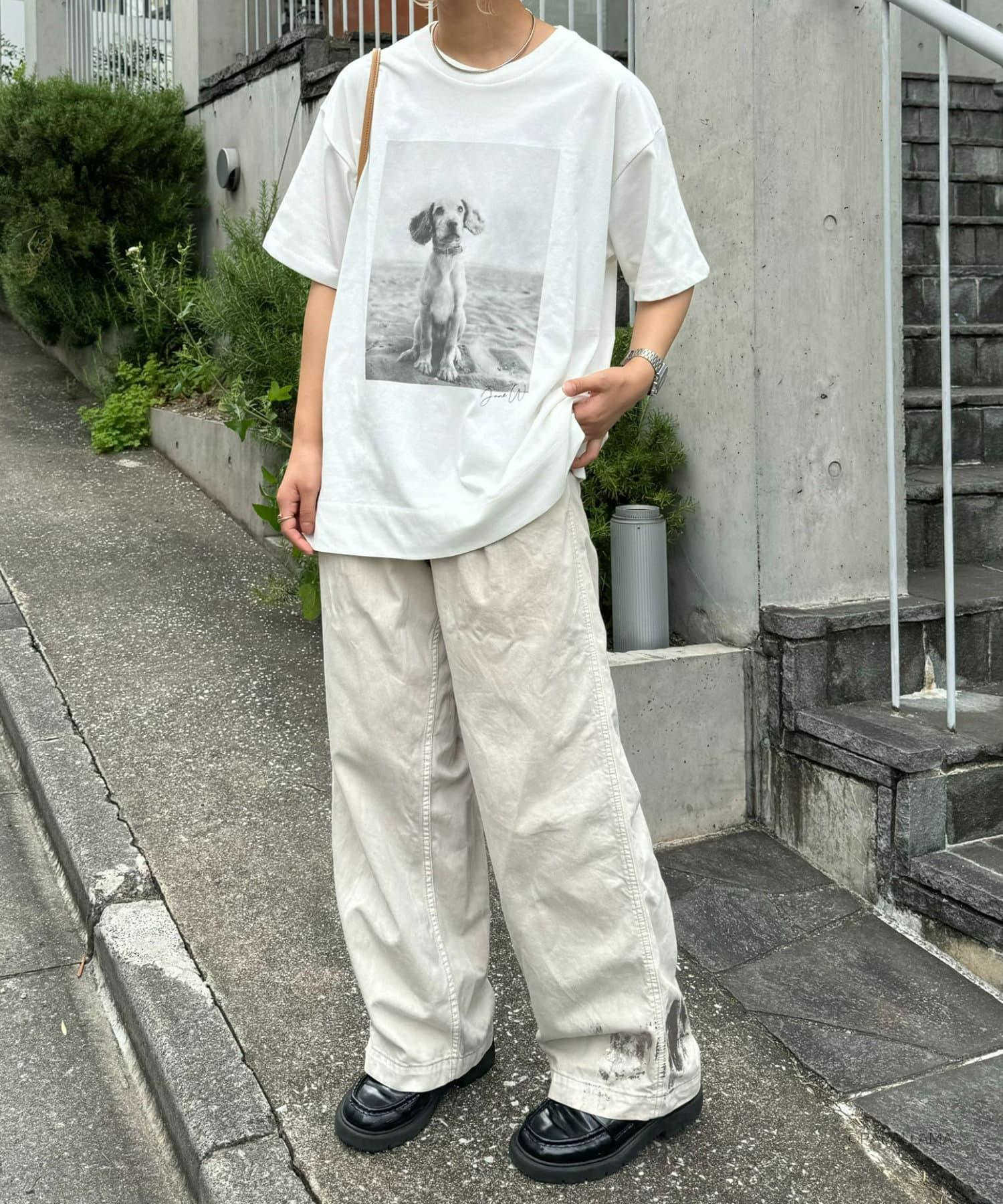 129258259