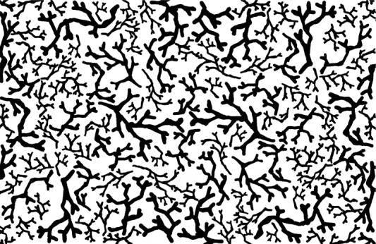 153215781