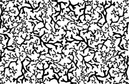 153215781