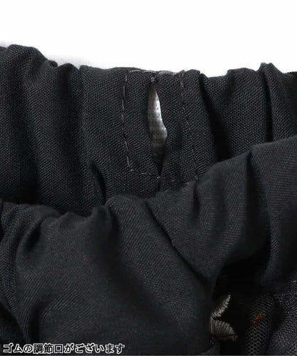 173842420