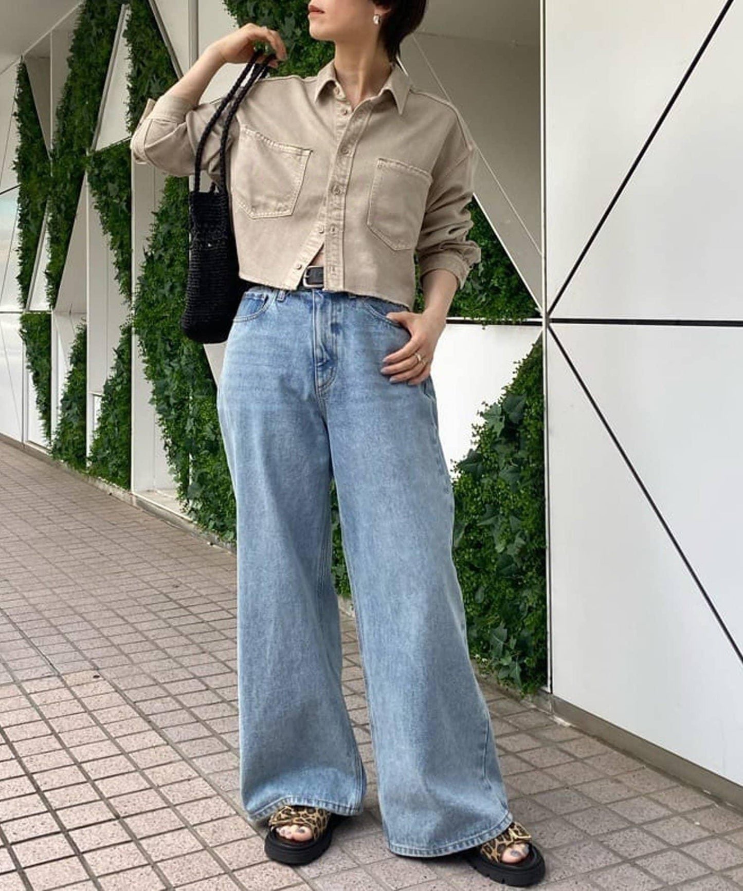 263616191