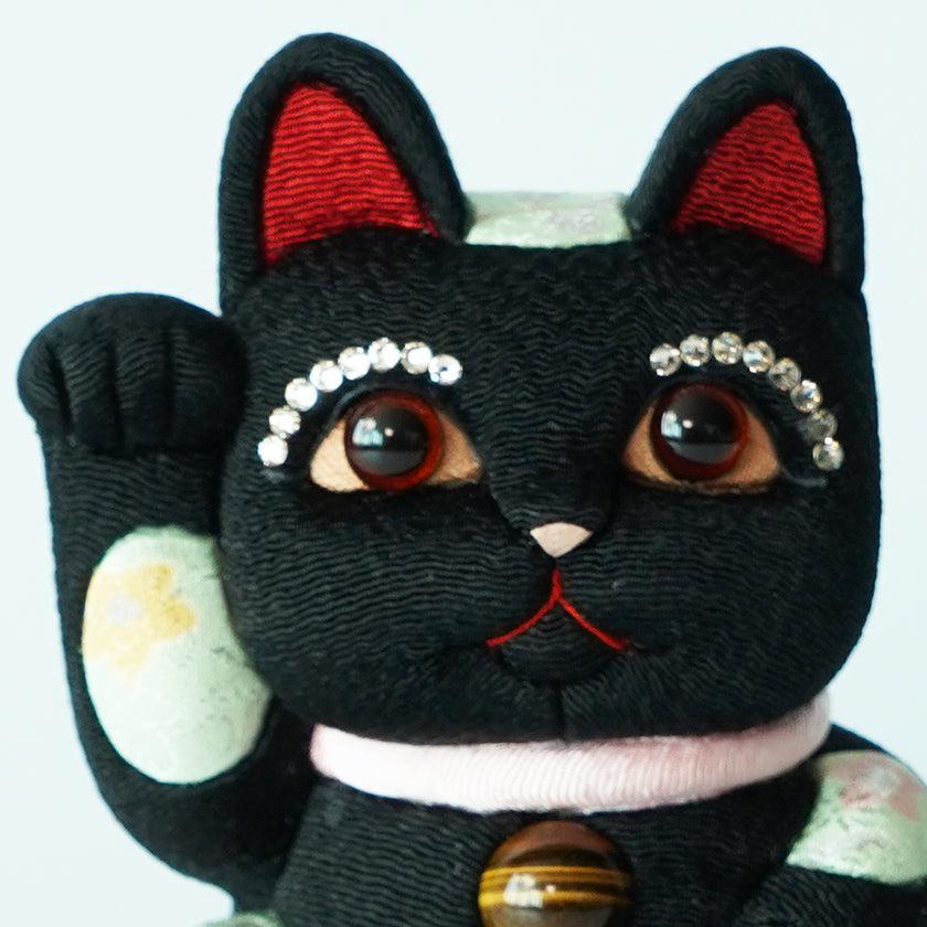 169254758