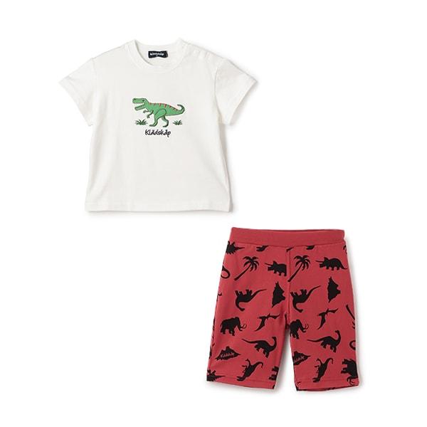 162932009