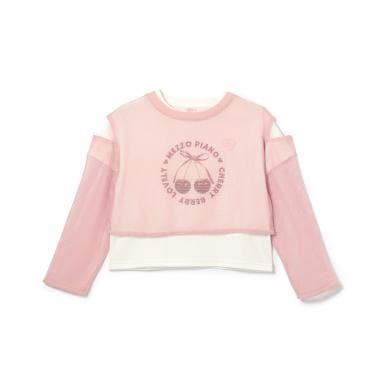 283230893