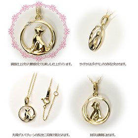 101162900