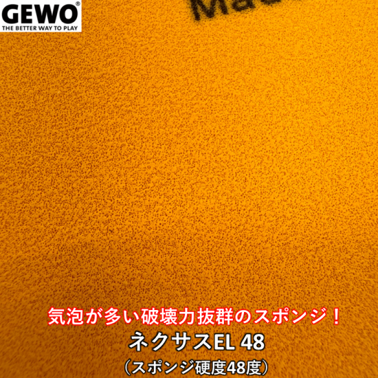 164505237