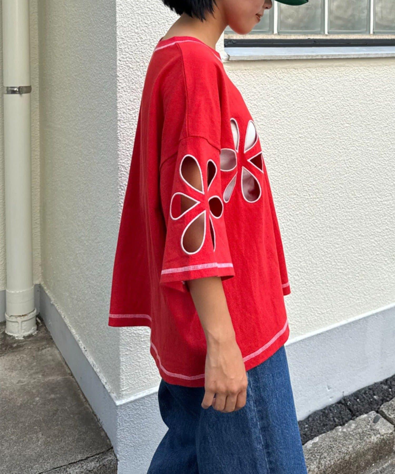 255817316