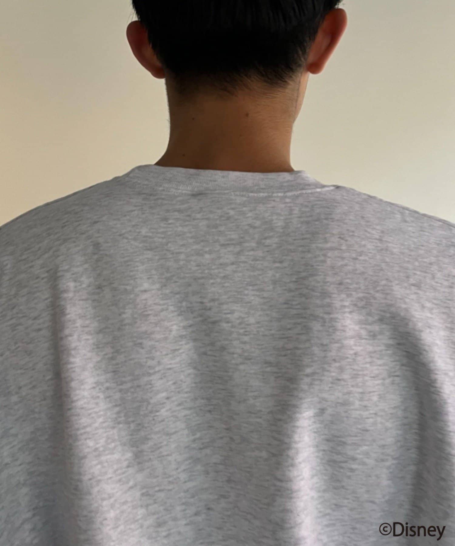 95508187