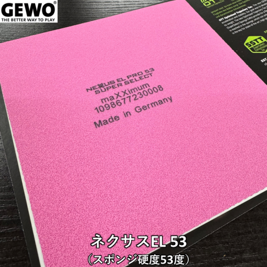 164505446