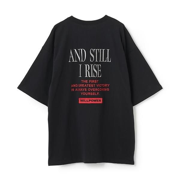 167963813