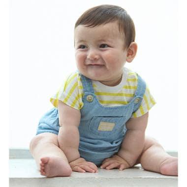 163021641
