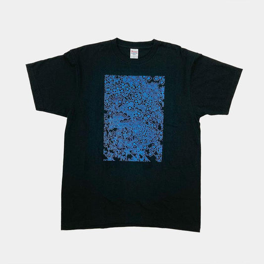 169260020