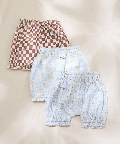 287047855