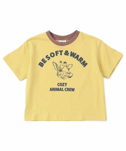 169547054