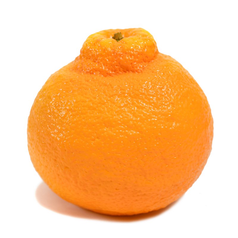 102187371