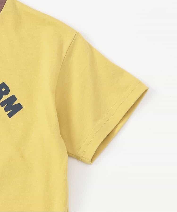 169547100