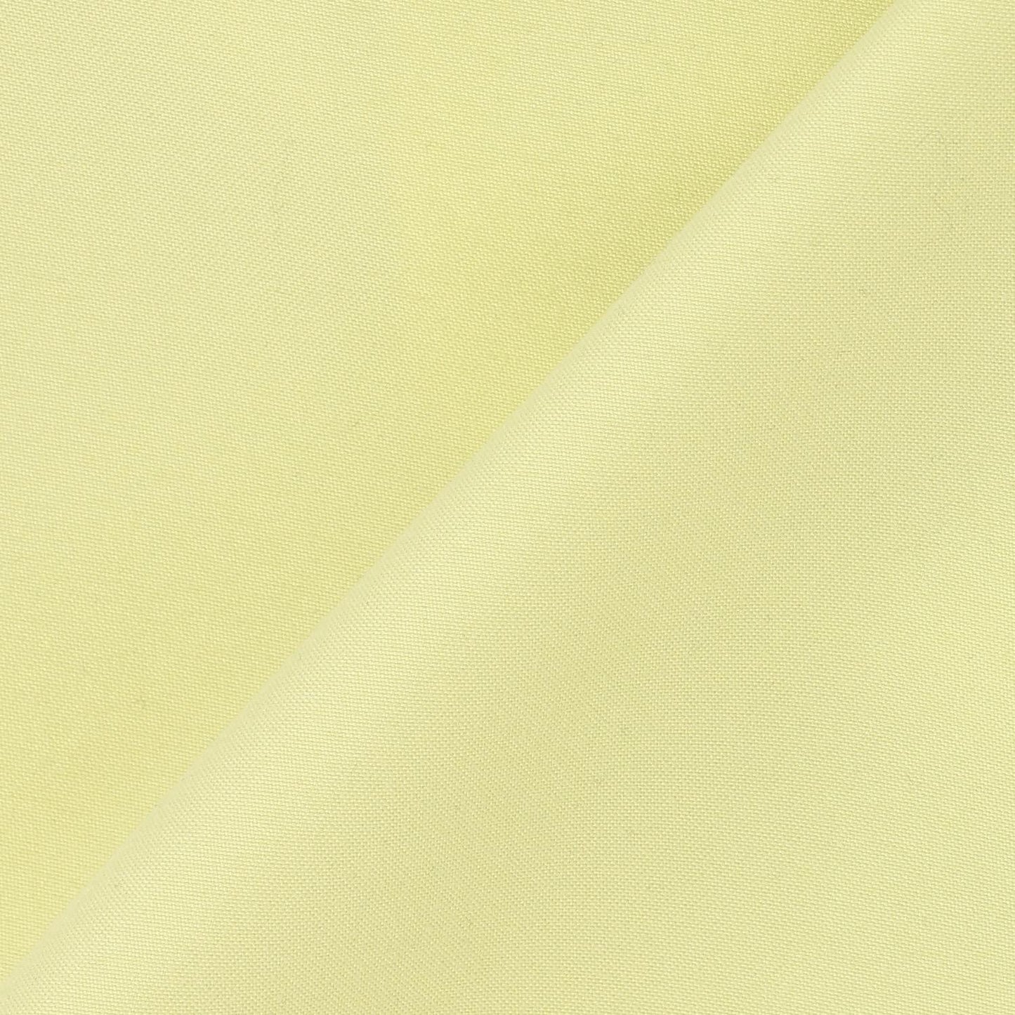 290650219