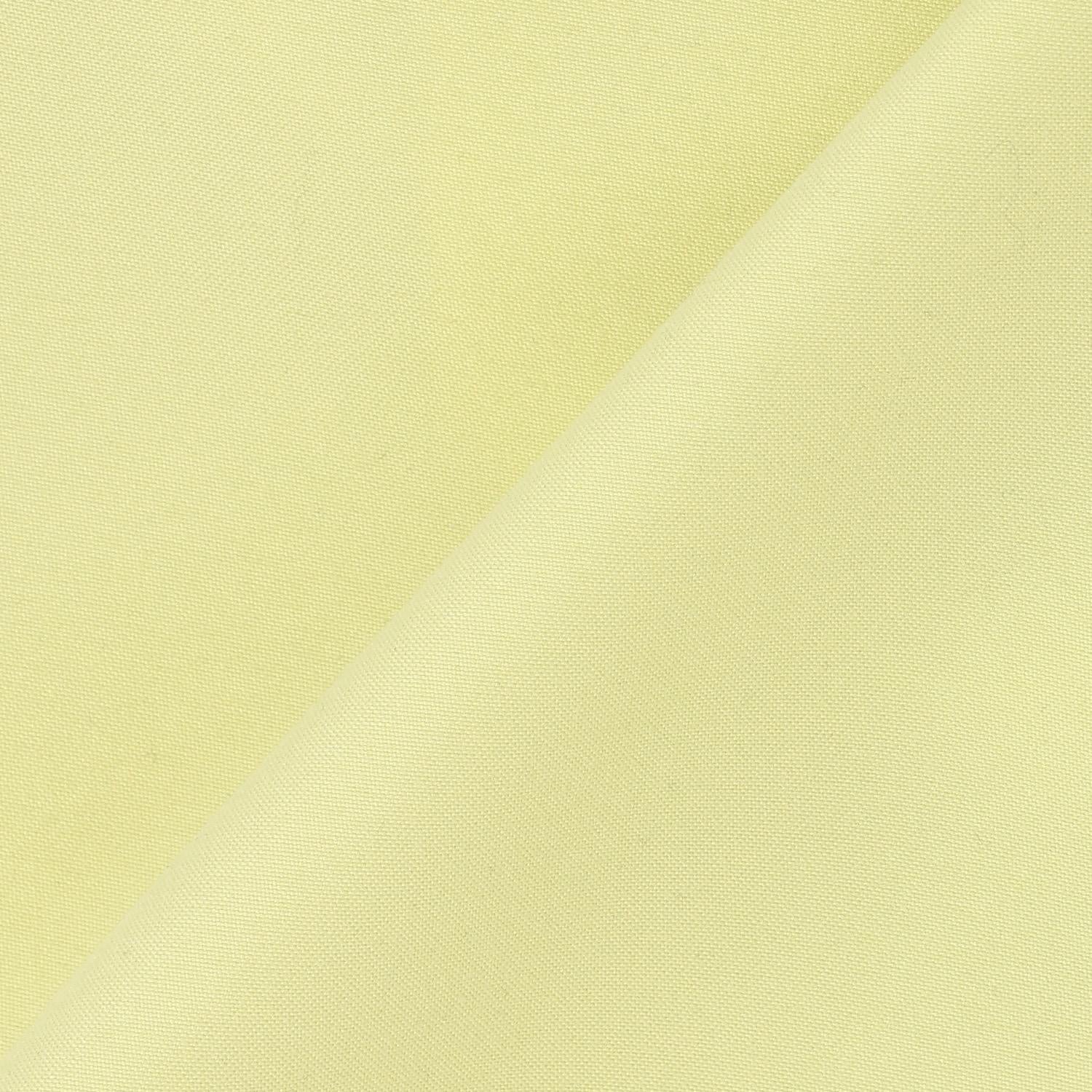 290650219