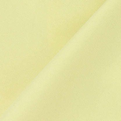290650219