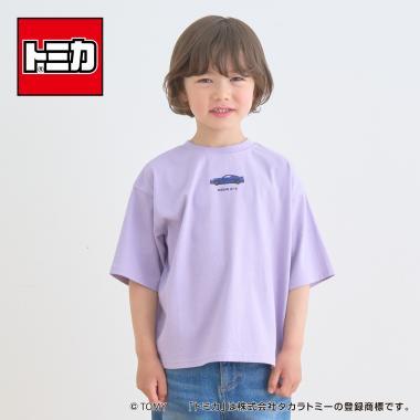 292650951