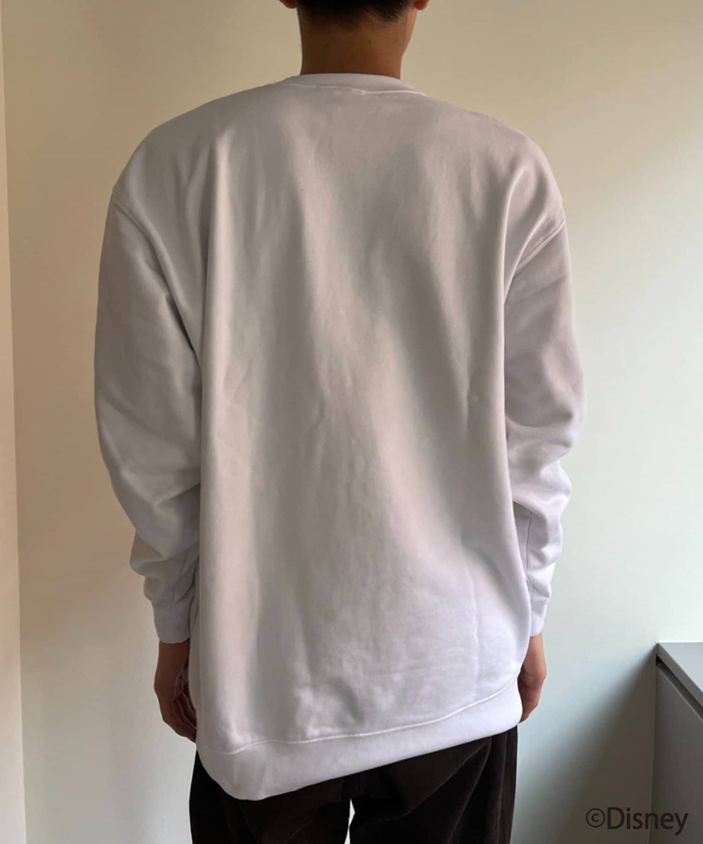 95508145