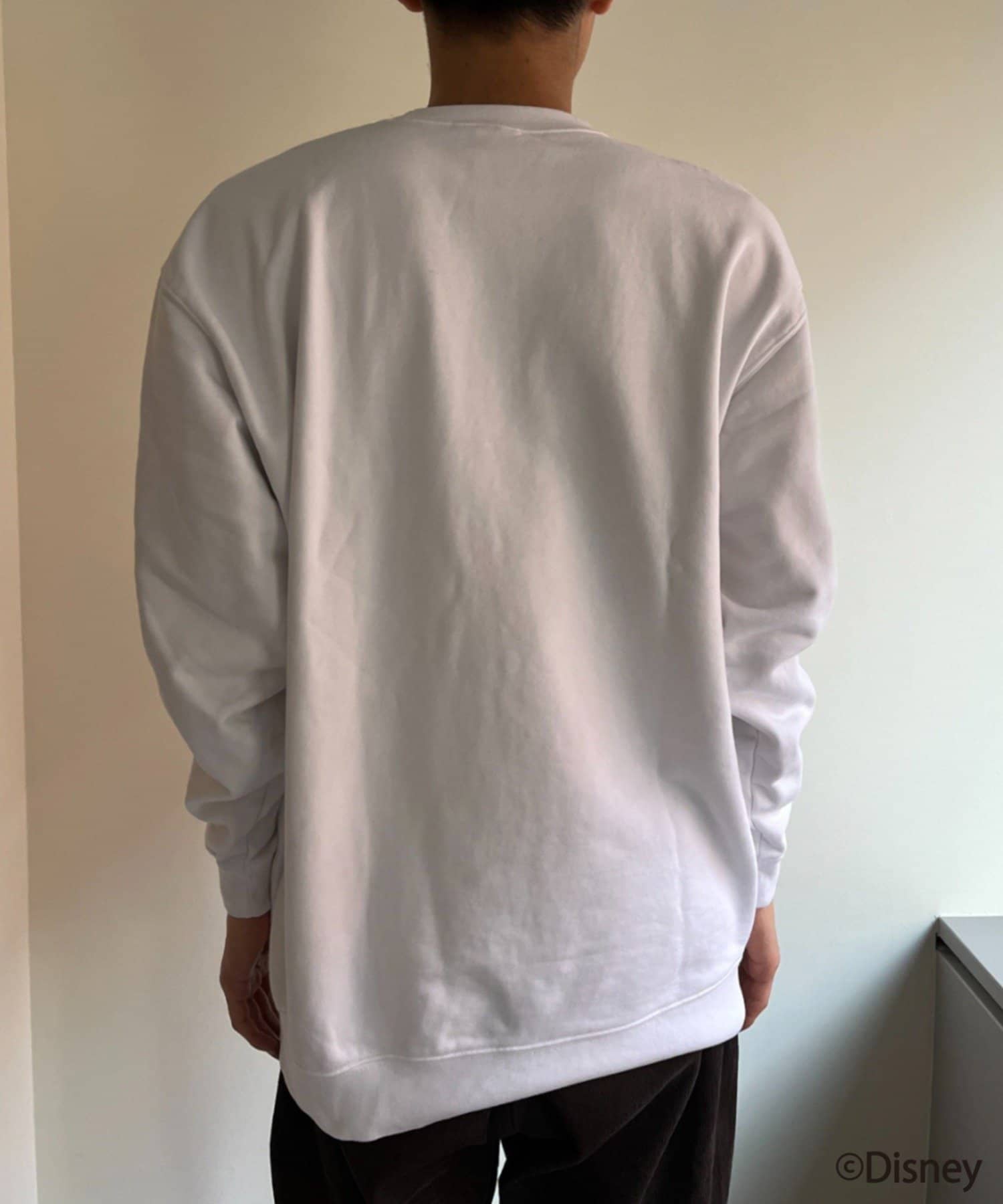 95508145