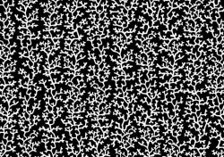 102213354