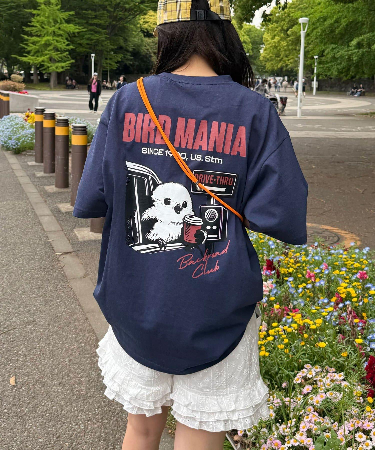 170551203