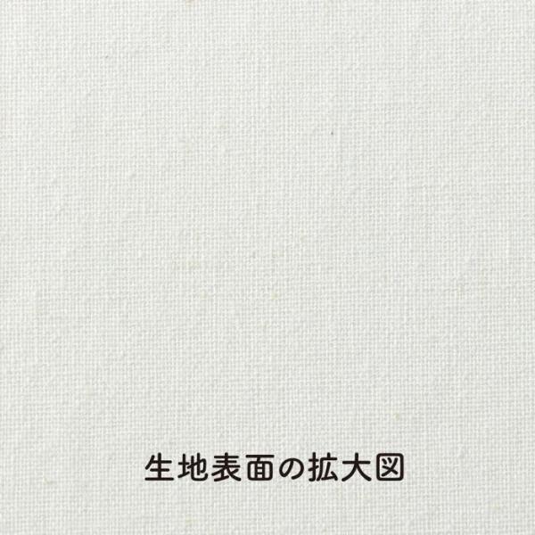 156265531