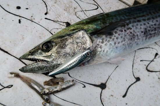118349941