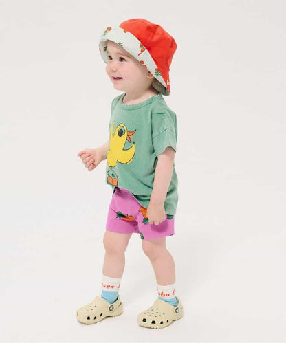 169877241
