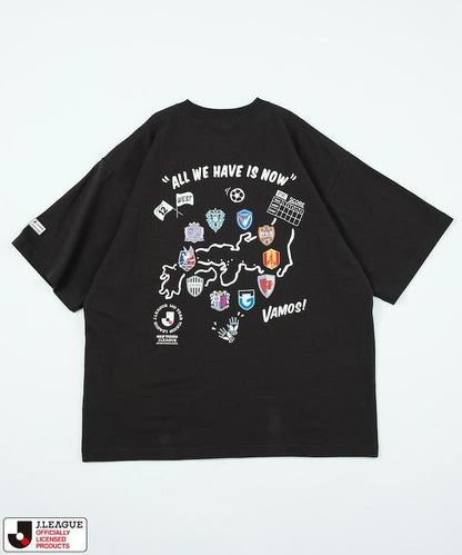 293755024