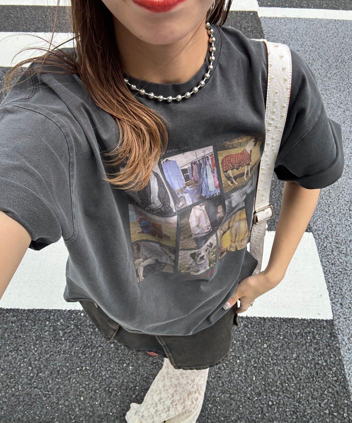 256617795