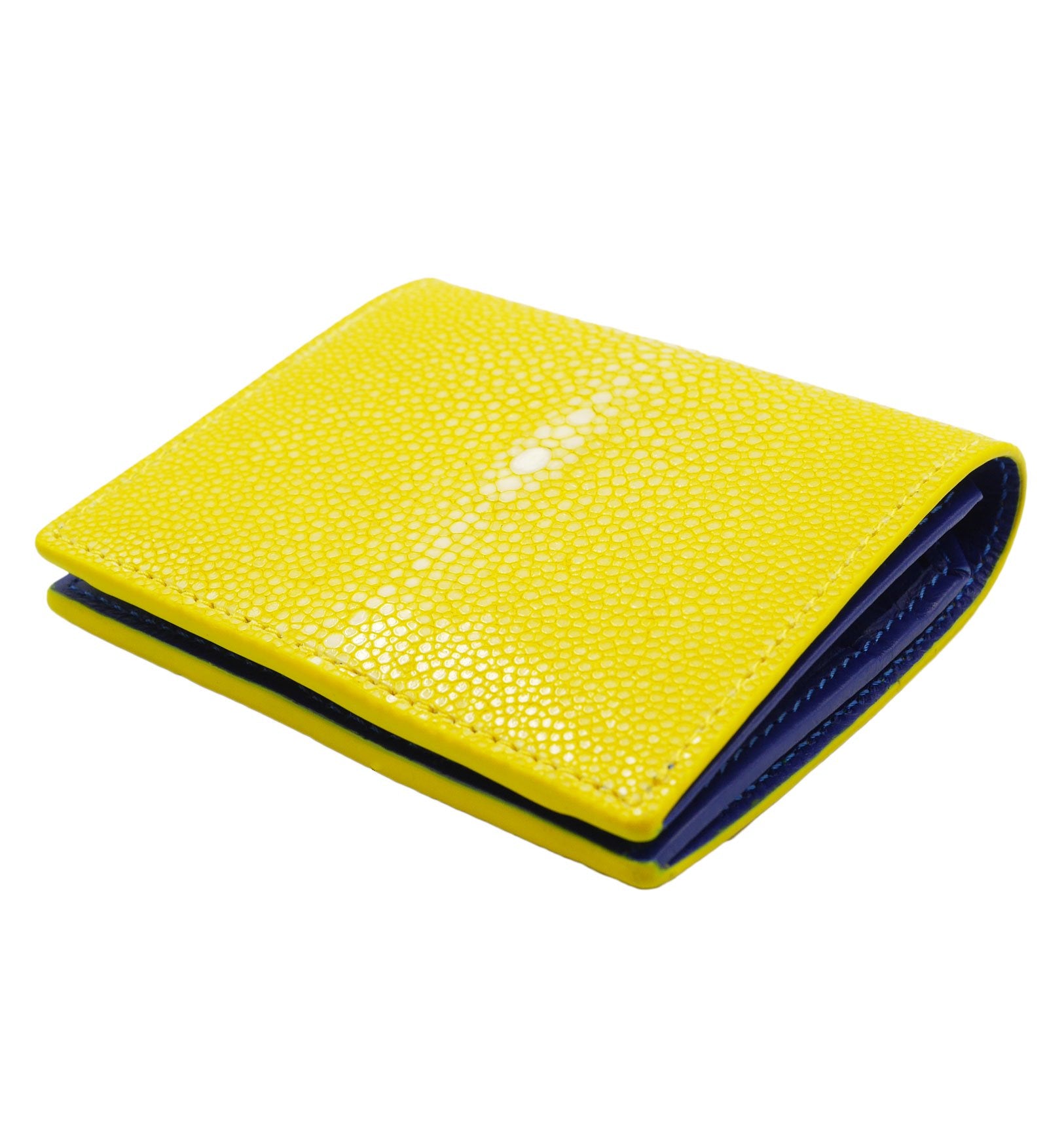101209729