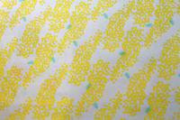 100908536