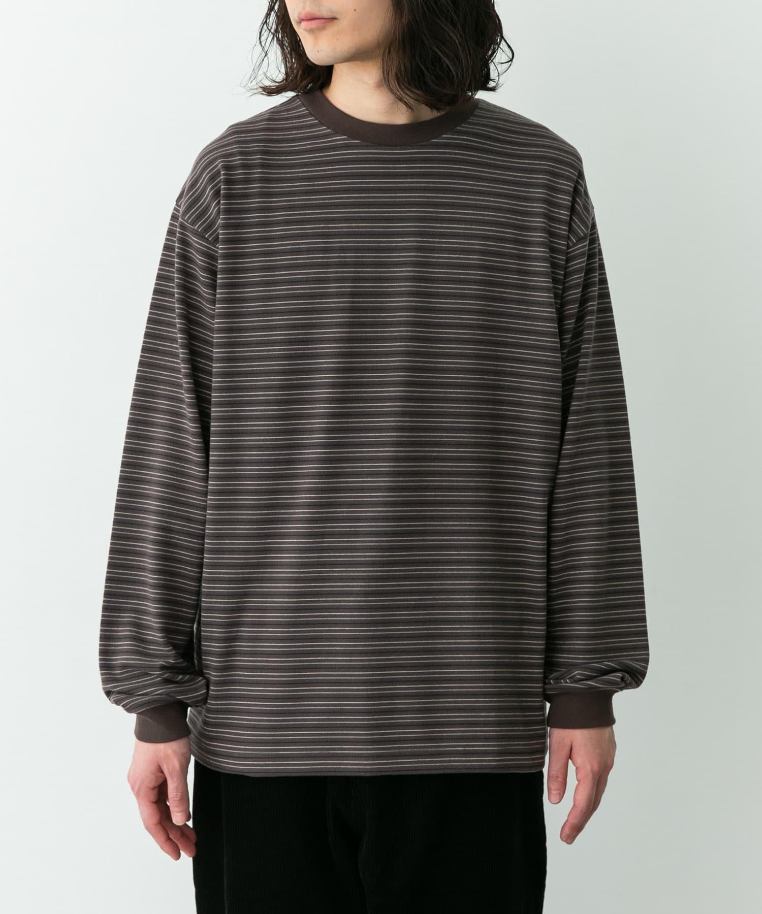 273766116