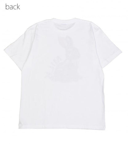 169812432