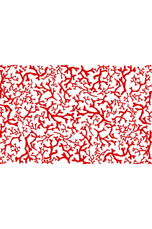 102183887