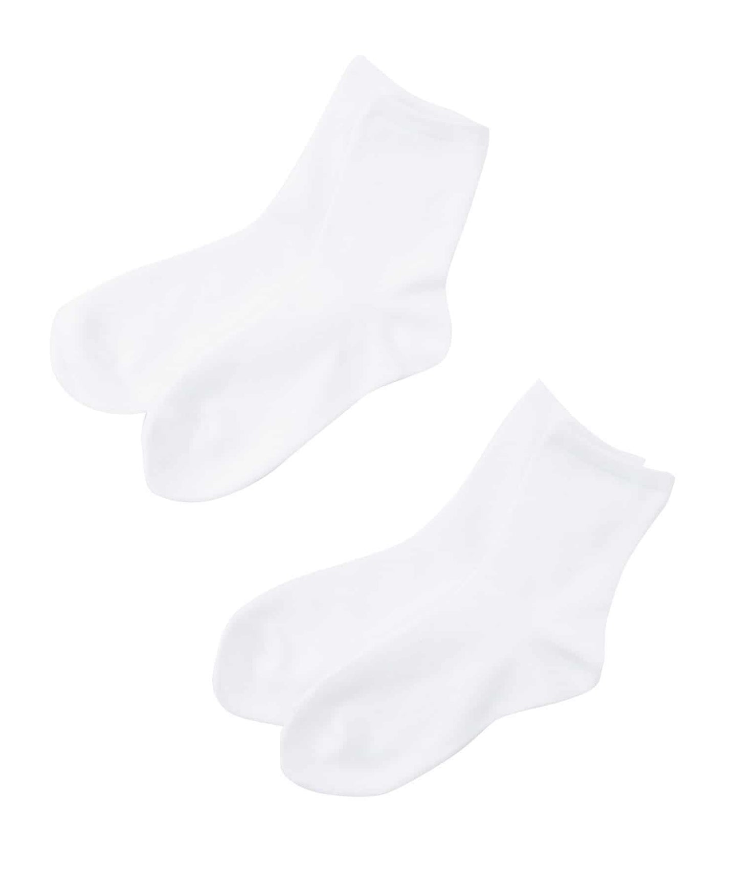100066024