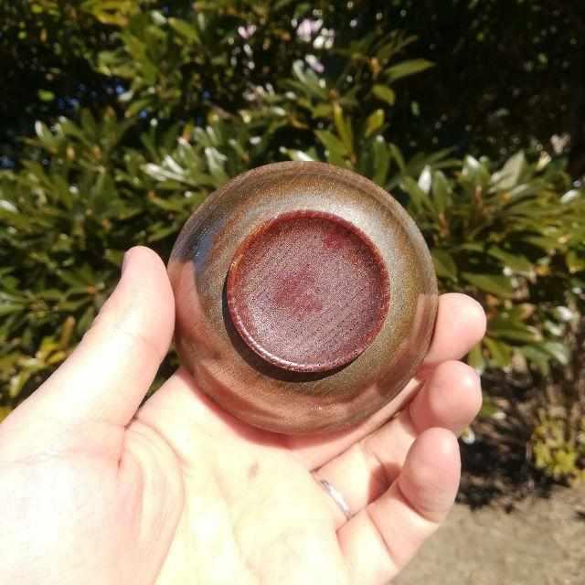 169243653