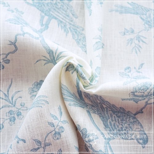 110538723
